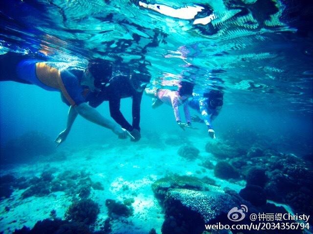 拯救昆虫群
