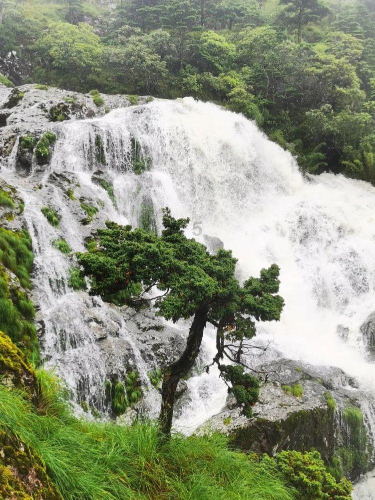 雨血前传：蜃楼